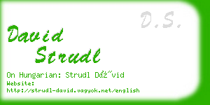 david strudl business card